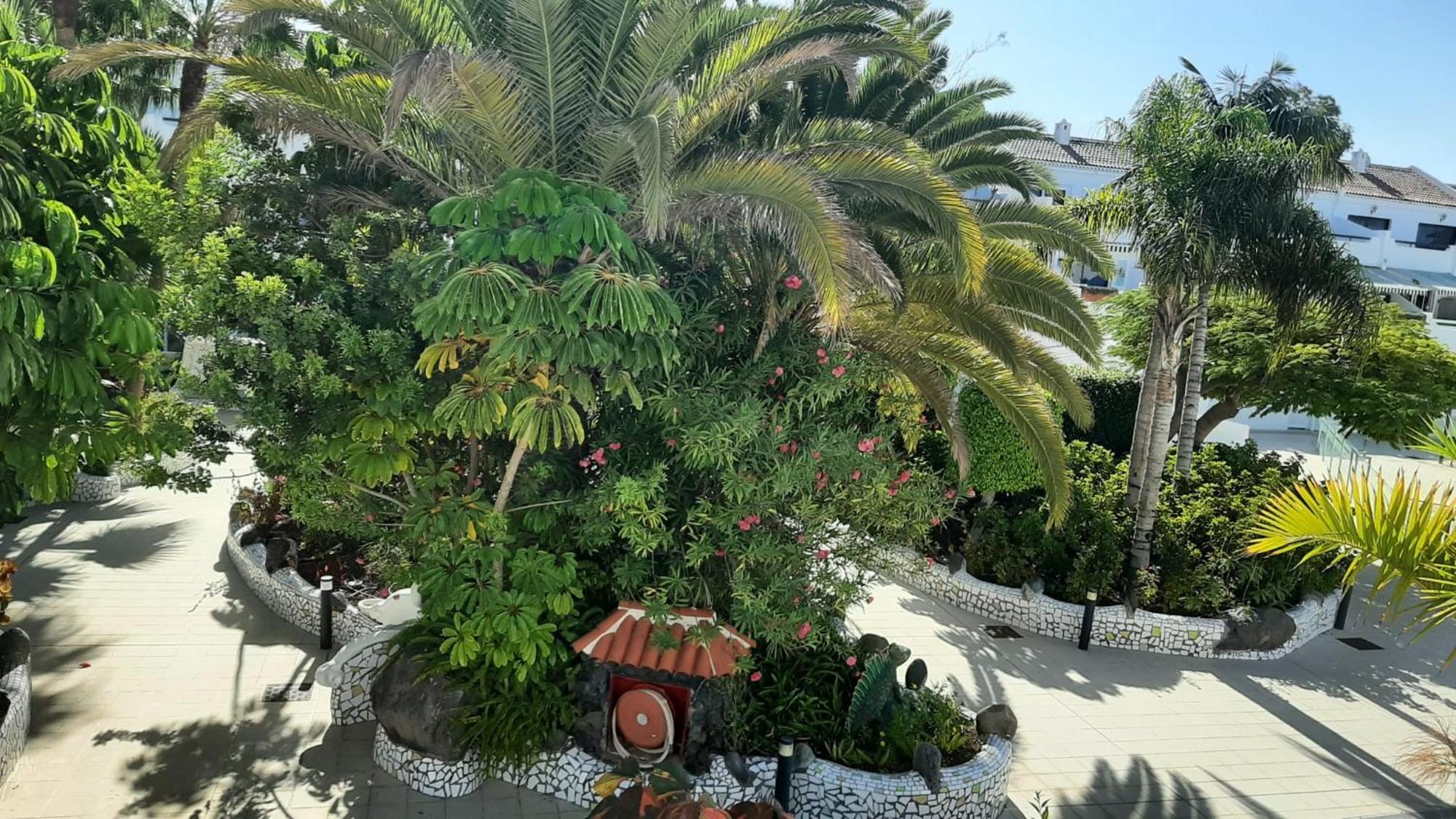 Blue Bay Paradise - Beach Front Apartment With Sea View Playa Paraiso  Exterior photo